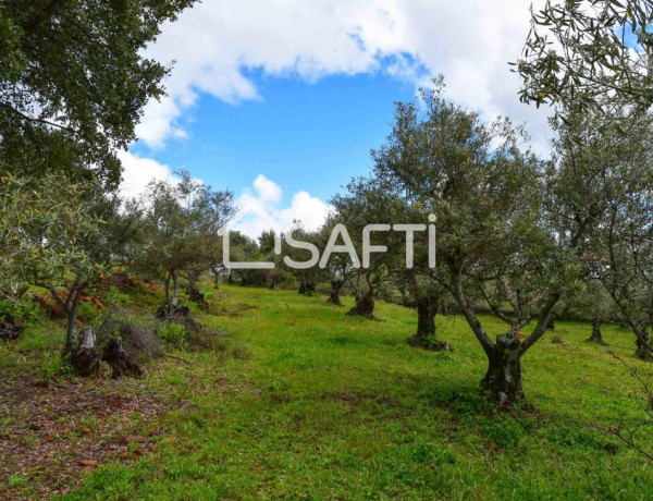 Fantástica finca rústica en pleno Sierra de Gata.