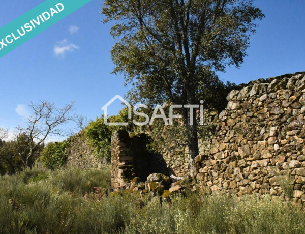 Rustic land For sell in Hoyos in Cáceres 