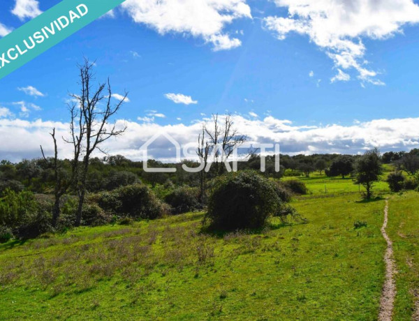 Rustic land For sell in Villasbuenas De Gata in Cáceres 