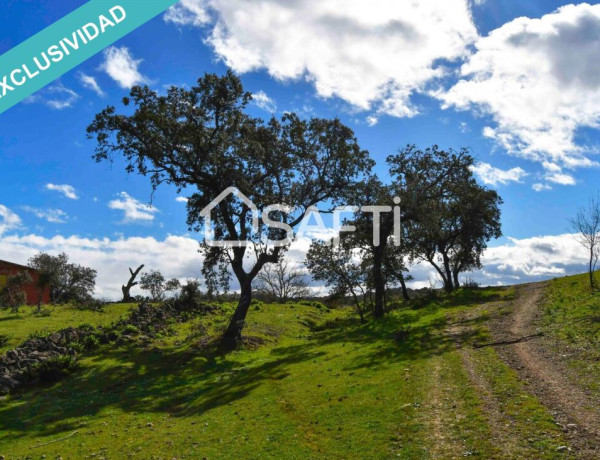 Rustic land For sell in Villasbuenas De Gata in Cáceres 