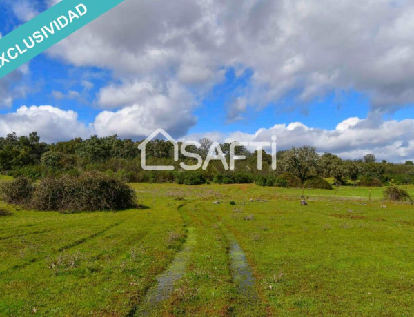 Rustic land For sell in Villasbuenas De Gata in Cáceres 