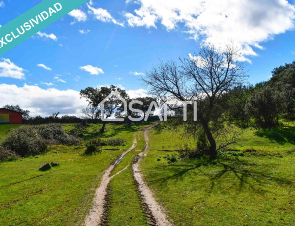 Rustic land For sell in Villasbuenas De Gata in Cáceres 