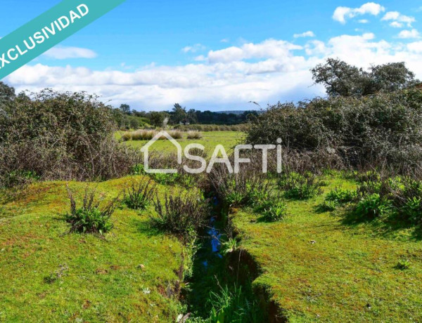 Rustic land For sell in Villasbuenas De Gata in Cáceres 