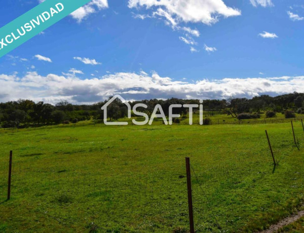 Rustic land For sell in Villasbuenas De Gata in Cáceres 