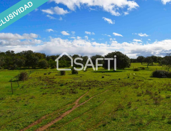 Rustic land For sell in Villasbuenas De Gata in Cáceres 