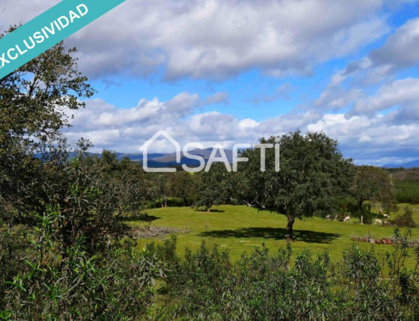 Rustic land For sell in Villasbuenas De Gata in Cáceres 