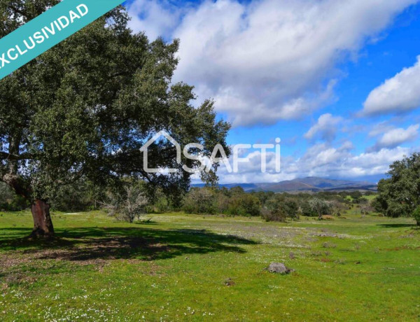 Rustic land For sell in Villasbuenas De Gata in Cáceres 