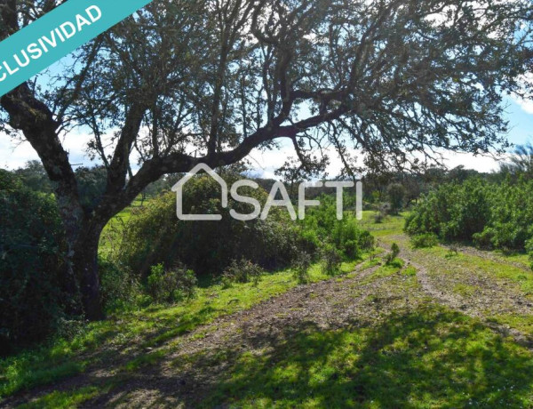 Rustic land For sell in Villasbuenas De Gata in Cáceres 