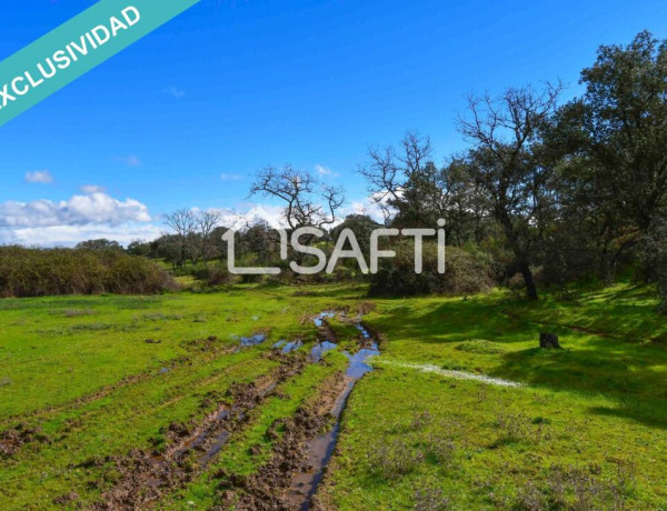 Rustic land For sell in Villasbuenas De Gata in Cáceres 