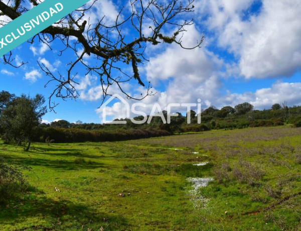 Rustic land For sell in Villasbuenas De Gata in Cáceres 