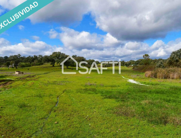 Rustic land For sell in Villasbuenas De Gata in Cáceres 