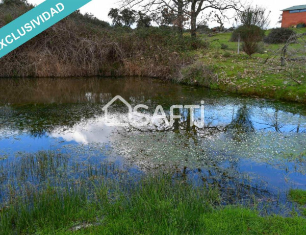 Rustic land For sell in Villasbuenas De Gata in Cáceres 