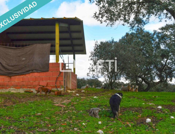 Rustic land For sell in Villasbuenas De Gata in Cáceres 