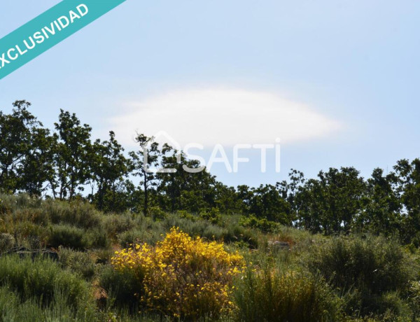 Rustic land For sell in Villamiel in Cáceres 