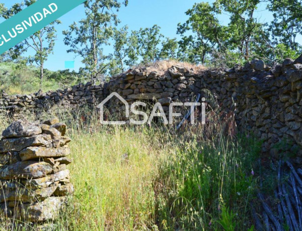 Rustic land For sell in Villamiel in Cáceres 