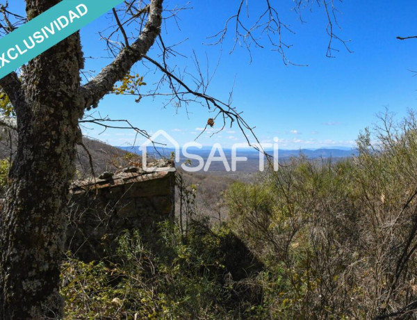 Rustic land For sell in Villamiel in Cáceres 