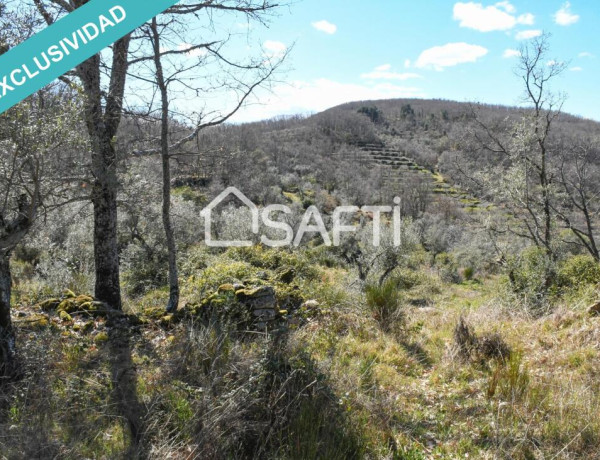 Rustic land For sell in Villamiel in Cáceres 