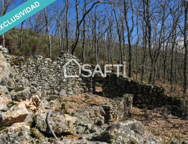 Rustic land For sell in Villamiel in Cáceres 