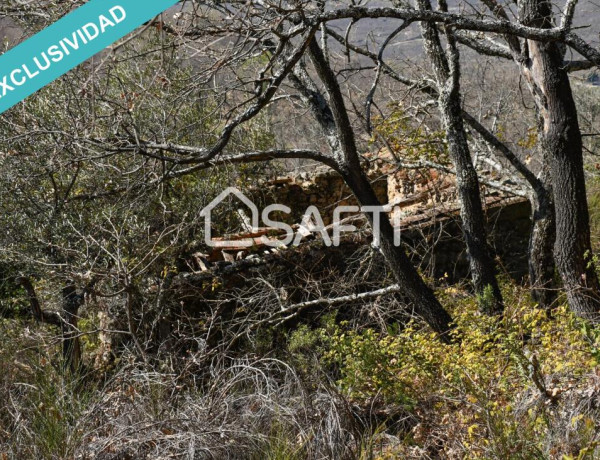 Rustic land For sell in Villamiel in Cáceres 