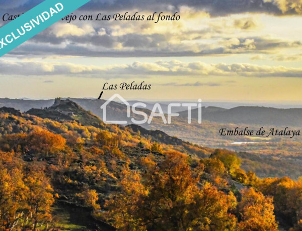 Rustic land For sell in Villamiel in Cáceres 