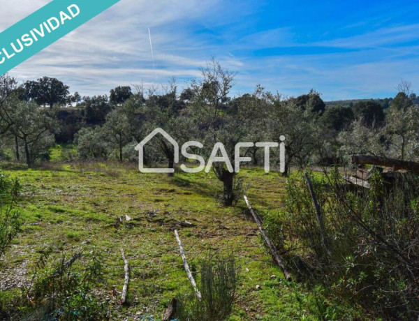 Finca de 19.500m2 con agua abundante en la Sierra de Gata