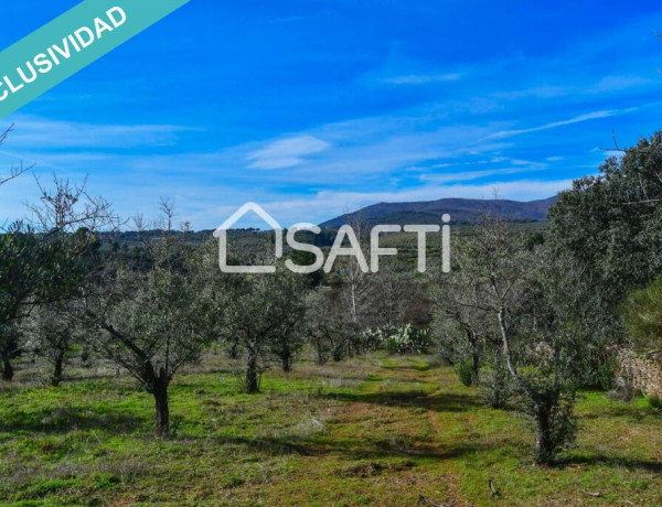 Finca de 19.500m2 con agua abundante en la Sierra de Gata