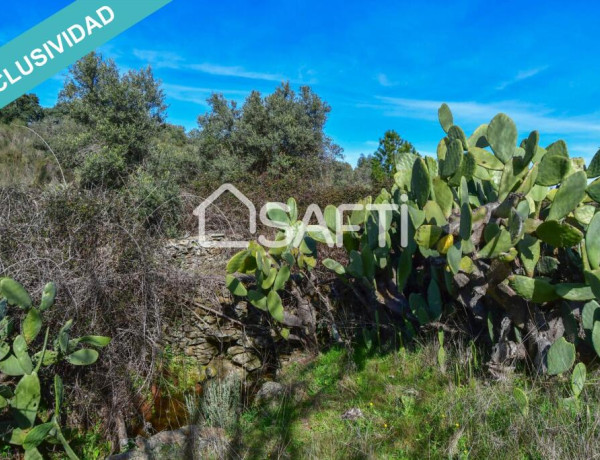 Rustic land For sell in Perales Del Puerto in Cáceres 