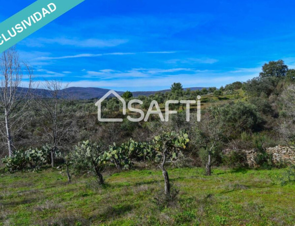 Rustic land For sell in Perales Del Puerto in Cáceres 