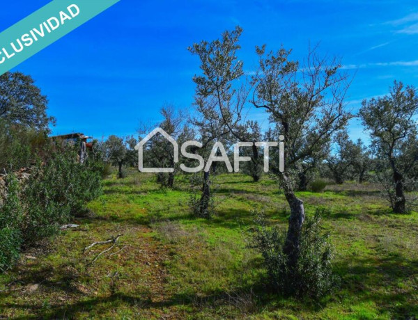 Rustic land For sell in Perales Del Puerto in Cáceres 