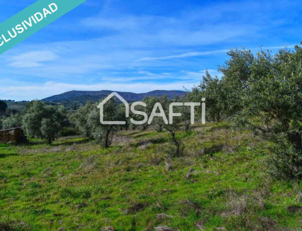 Finca de 19.500m2 con agua abundante en la Sierra de Gata