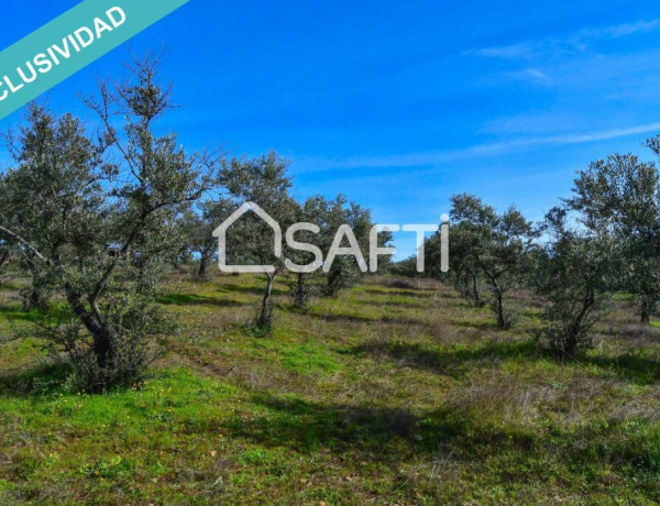 Rustic land For sell in Perales Del Puerto in Cáceres 