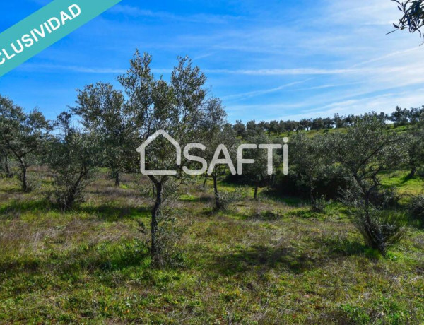 Finca de 19.500m2 con agua abundante en la Sierra de Gata