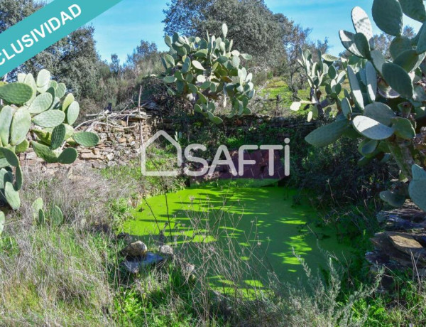 Rustic land For sell in Perales Del Puerto in Cáceres 