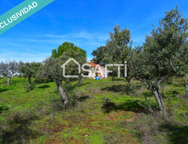 Rustic land For sell in Perales Del Puerto in Cáceres 