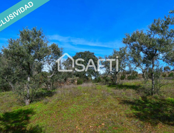 Rustic land For sell in Perales Del Puerto in Cáceres 