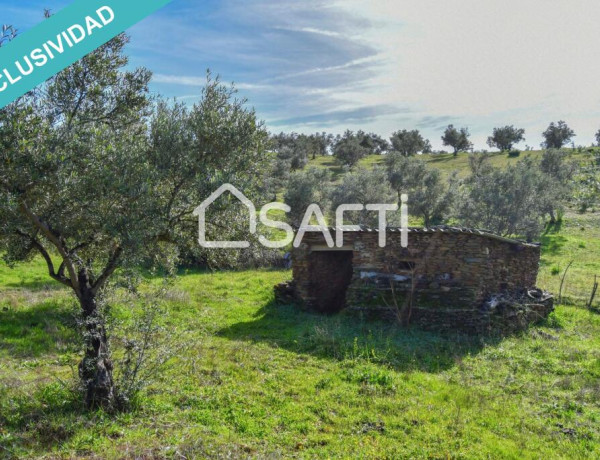 Finca de 19.500m2 con agua abundante en la Sierra de Gata