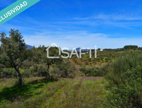 Finca de 19.500m2 con agua abundante en la Sierra de Gata