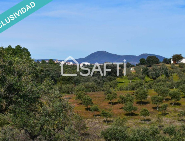 Rustic land For sell in Perales Del Puerto in Cáceres 