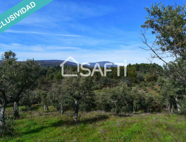 Finca de 19.500m2 con agua abundante en la Sierra de Gata