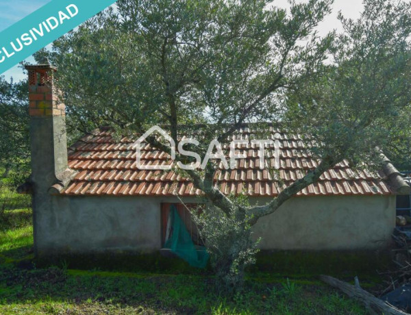 Rustic land For sell in Perales Del Puerto in Cáceres 