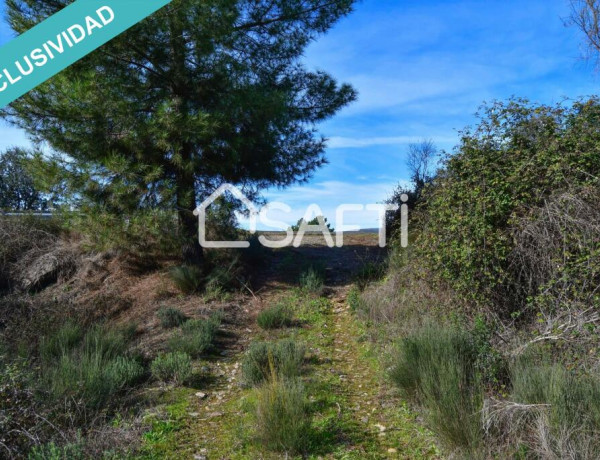 Rustic land For sell in Perales Del Puerto in Cáceres 