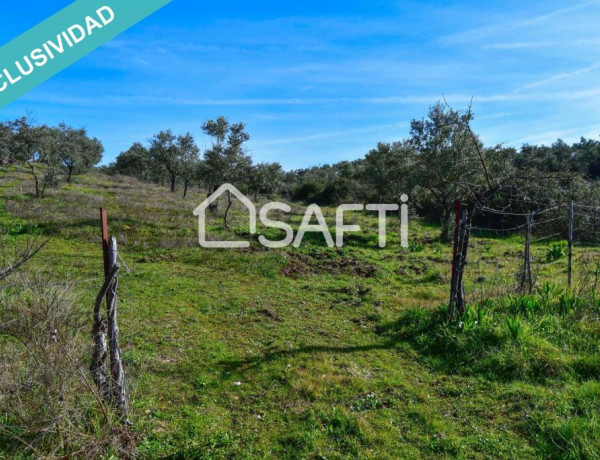 Rustic land For sell in Perales Del Puerto in Cáceres 