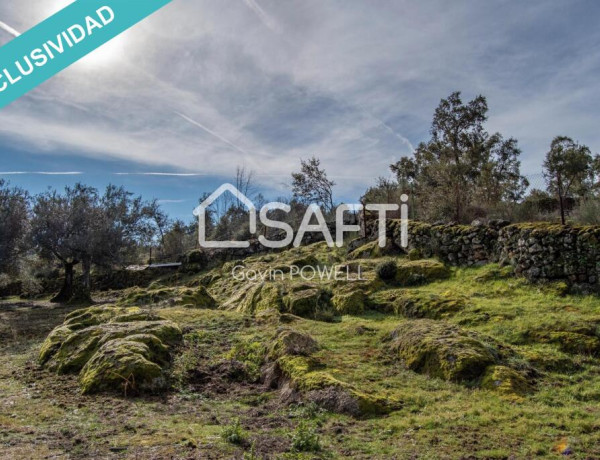 Descubre la magia del olivar en el corazón de la Sierra de Gata