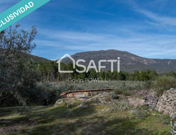 Descubre la magia del olivar en el corazón de la Sierra de Gata