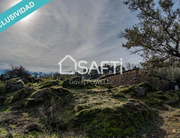 Descubre la magia del olivar en el corazón de la Sierra de Gata