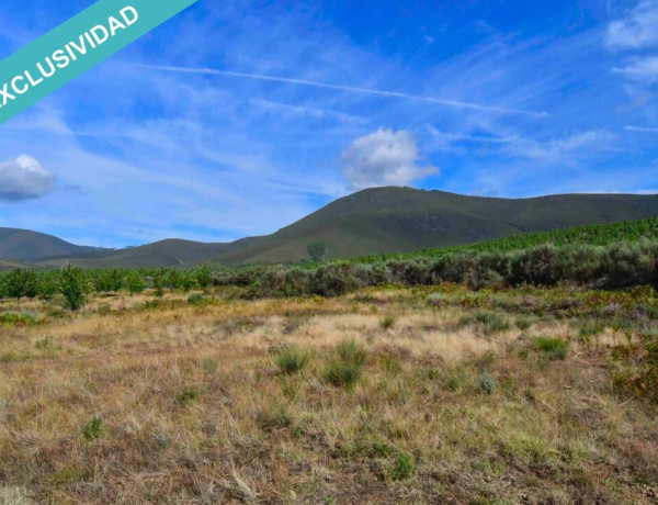 Rustic land For sell in Acebo in Cáceres 