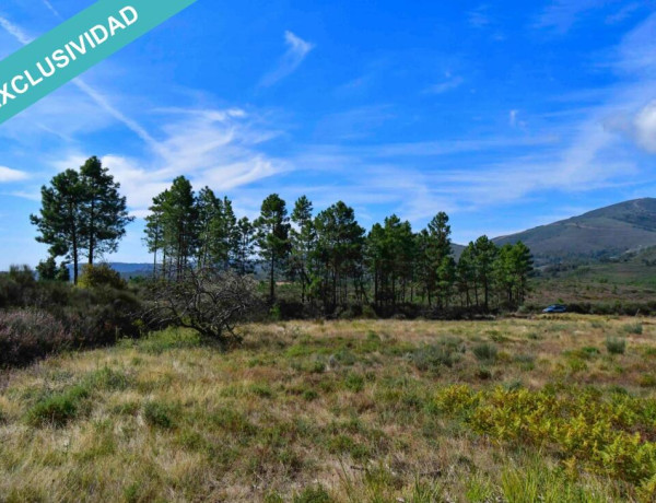 Rustic land For sell in Acebo in Cáceres 