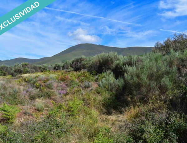 Rustic land For sell in Acebo in Cáceres 