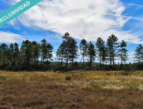 Rustic land For sell in Acebo in Cáceres 