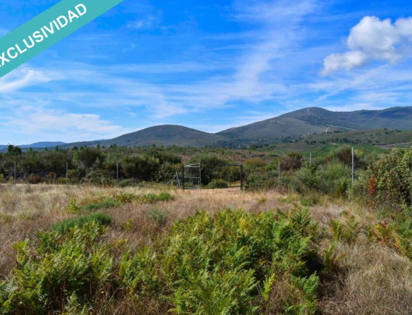 Rustic land For sell in Acebo in Cáceres 